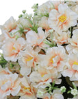 Set of Two 24" Pink Artificial Flowering Tree In Round Black Pot