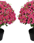 Set of Two 24" Red Artificial Flowering Tree In Round Black Pot