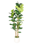 62" Green Artificial Fiddle Leaf Tree In Round White Pot
