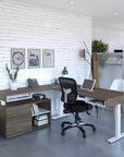 Modubox Viva 2 Piece Set Including an L Shaped Standing Desk and a Credenza, image 9