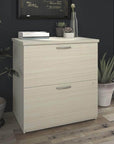 Modubox Logan Lateral File Cabinet, image 4