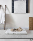 Rest Therapy 3 Inch Invigorate Bamboo Cool Gel Memory Foam Dog or Cat Bed Pet Mattress, image 3