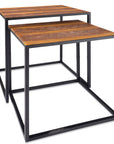 Set of Two Brown and Black Metal And Faux Snake Leather Nesting End Tables