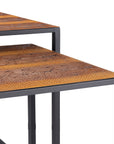 Set of Two Brown and Black Metal And Faux Snake Leather Nesting End Tables