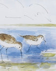 Set Of 2 Watercolor Shore Birds Framed Art