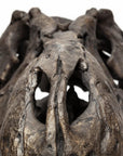 Authentic Replica T Rex Skull Sculpture