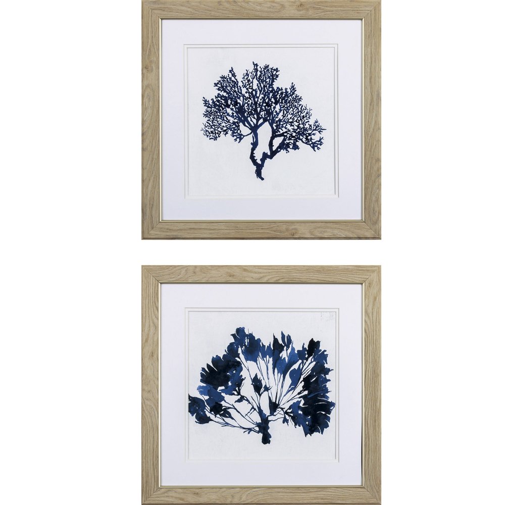 Set of Two 19" x 19" Deep Blue Sea Coral Watercolor Wall Art