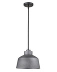 Barnes 1-Light Gray Convertible Pendant