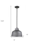 Barnes 1-Light Gray Convertible Pendant