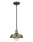 Brushed Gold Shallow Plate Adjustable Pendant Light