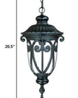 Naples 1-Light Matte Black Hanging Light