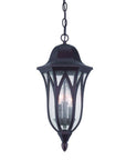 Matte Black Geometric Glass Hanging Light