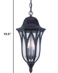 Matte Black Geometric Glass Hanging Light