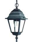 Matte Black Beveled Glass Outdoor Hanging Light