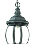 Matte Black Glass Globe Hanging Light