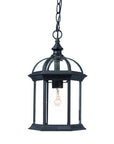 Matte Black Cage Hanging Light