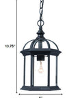 Matte Black Cage Hanging Light