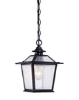 Matte Black Terrarium Shape Hanging Light