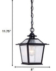 Matte Black Terrarium Shape Hanging Light