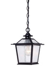 Matte Black Terrarium Shape Hanging Light