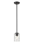 Black Metal and Glass Mini Pendant Hanging Light