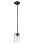 Black Metal and Glass Mini Pendant Hanging Light