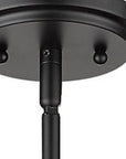 Black Metal and Glass Mini Pendant Hanging Light