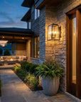 Black And Clear Four Light Seeded Dimmable Outdoor Hanging Lights With Black And Clear Shades