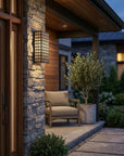 Black And Clear Two Light Seeded Dimmable Outdoor Hanging Lights With Black And Clear Shades