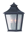 Black And Clear Two Light Frosted Dimmable Outdoor Hanging Lights With Black And Clear Shades