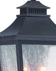 Black And Clear Two Light Frosted Dimmable Outdoor Hanging Lights With Black And Clear Shades