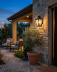 Black And Clear Two Light Frosted Dimmable Outdoor Hanging Lights With Black And Clear Shades