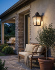 Black And Clear Two Light Seeded Dimmable Outdoor Hanging Lights With Black And Clear Shades
