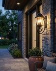 Black And Clear Three Light Hammered Dimmable Outdoor Hanging Lights With Black And Clear Shades