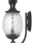Matte Black Pineapple Wall Light