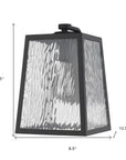 Black And Clear Seeded Dimmable Outdoor Hanging Light With Black And Clear Shades