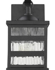 Glass panel Matte Black Outdoor Cage Light
