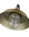 Brass Seeded Dimmable Outdoor Hanging Light With Brass Shades