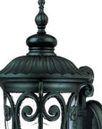 Black And Clear Seeded Dimmable Outdoor Hanging Light With Black And Clear Shades