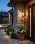 Black And Clear Seeded Dimmable Outdoor Hanging Light With Black And Clear Shades