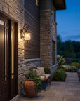 Black And Clear Seeded Dimmable Outdoor Hanging Light With Black And Clear Shades