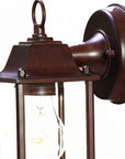 Dark Brown Hanging Glass Lantern Wall Light
