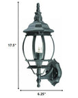 Matte Black Ornamental Glass Globe Wall Light