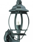Matte Black Ornamental Glass Globe Wall Light