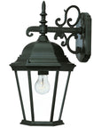 Matte Black Domed Glass Hanging Lantern Wall Light
