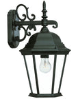 Matte Black Domed Glass Hanging Lantern Wall Light