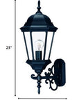 Matte Black Domed Glass Lantern Wall Light