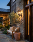 Dark Brown And Clear Beveled Dimmable Outdoor Hanging Light With Dark Brown And Clear Shades