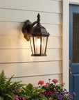 Light Brown Hanging Carousel Wall Light