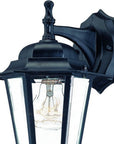 Matte Black Glass Hanging Lantern Wall Light